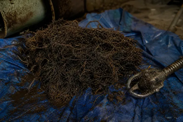 Clogged Sewer & Drain Clearing — Clogged sewers